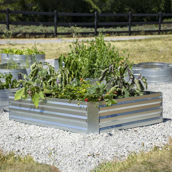 Galvanized Steel Raised Garden Bed